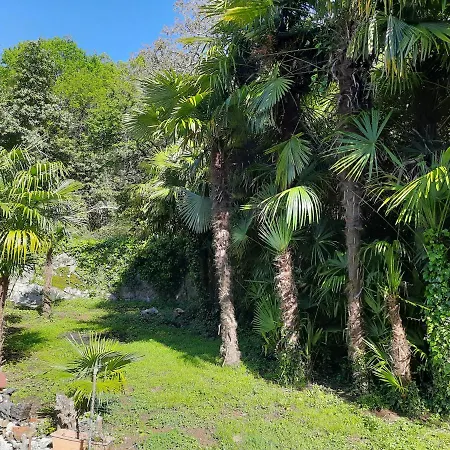 Apartamento Anagora I